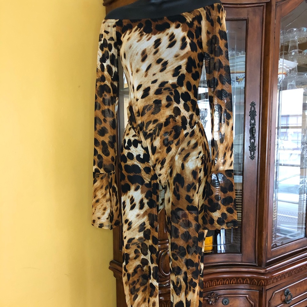 GLAM!! Animal print 2 piece sheer set!